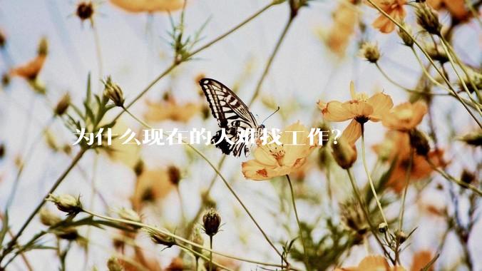 为什么现在的人难找工作？